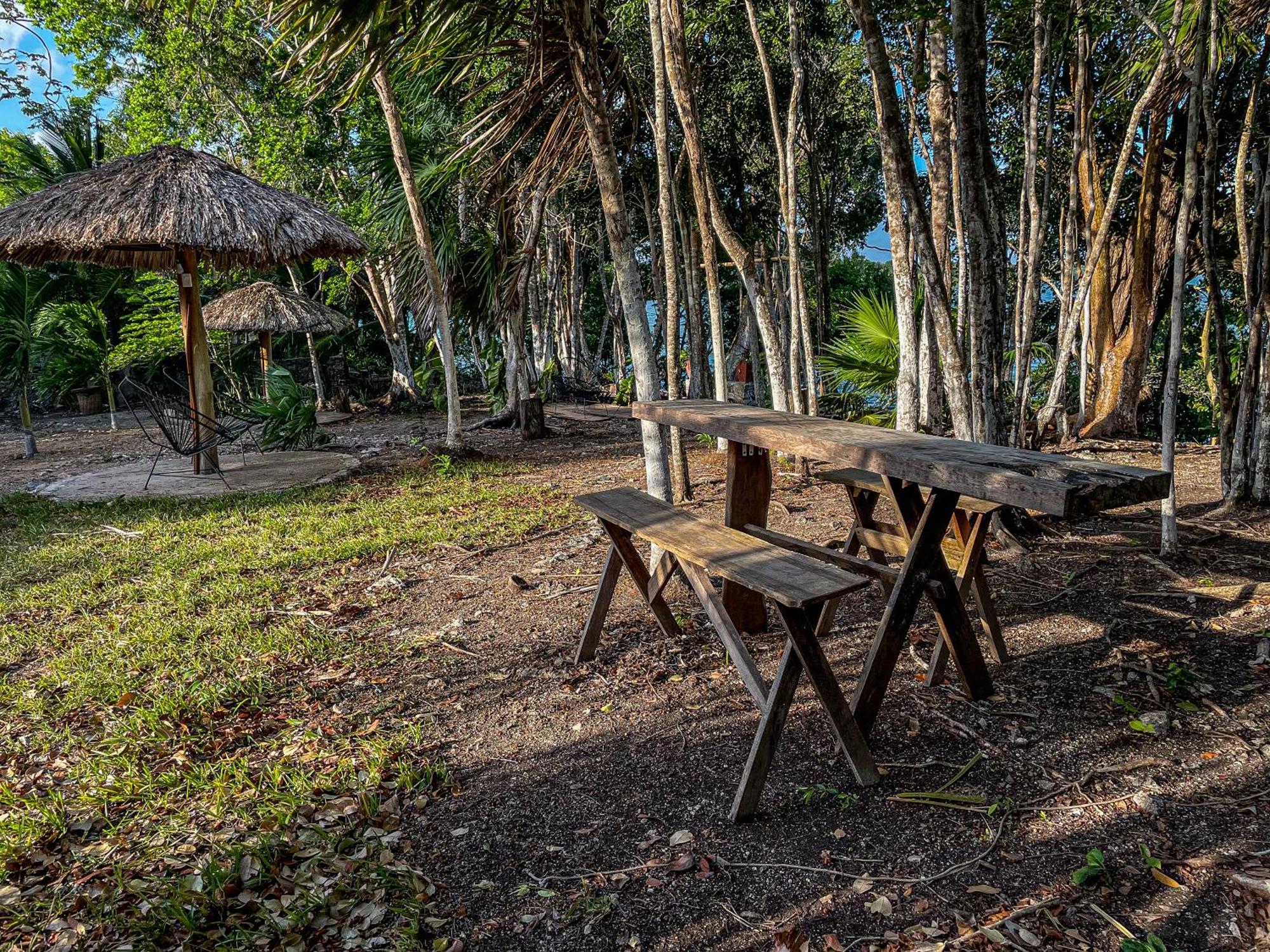 Bufo Alvarius Sanctuary Bacalar Buenavista  Exterior foto